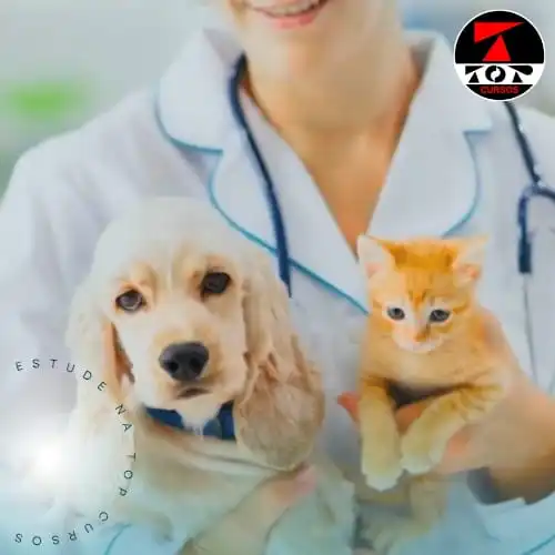 Auxiliar Veterinário